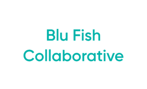 Blu Fish Collaborative teal logo on white