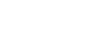 Typhoon Texas Waterpark logo with waves